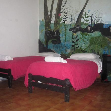Hotel Minerva 布宜诺斯艾利斯 客房 照片