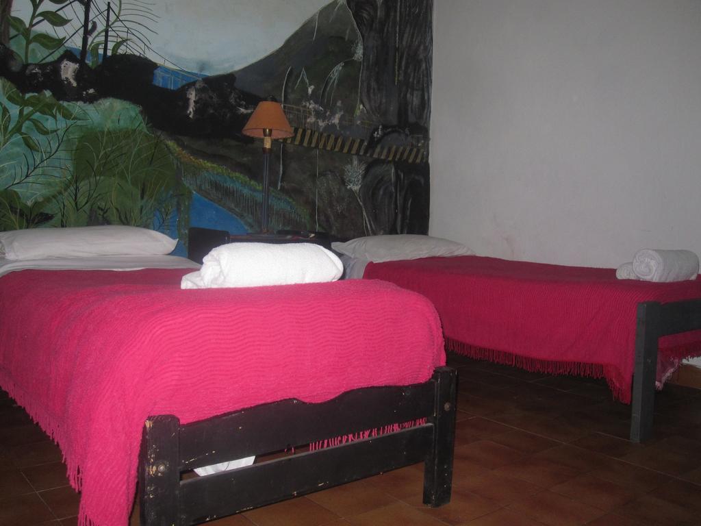 Hotel Minerva 布宜诺斯艾利斯 客房 照片
