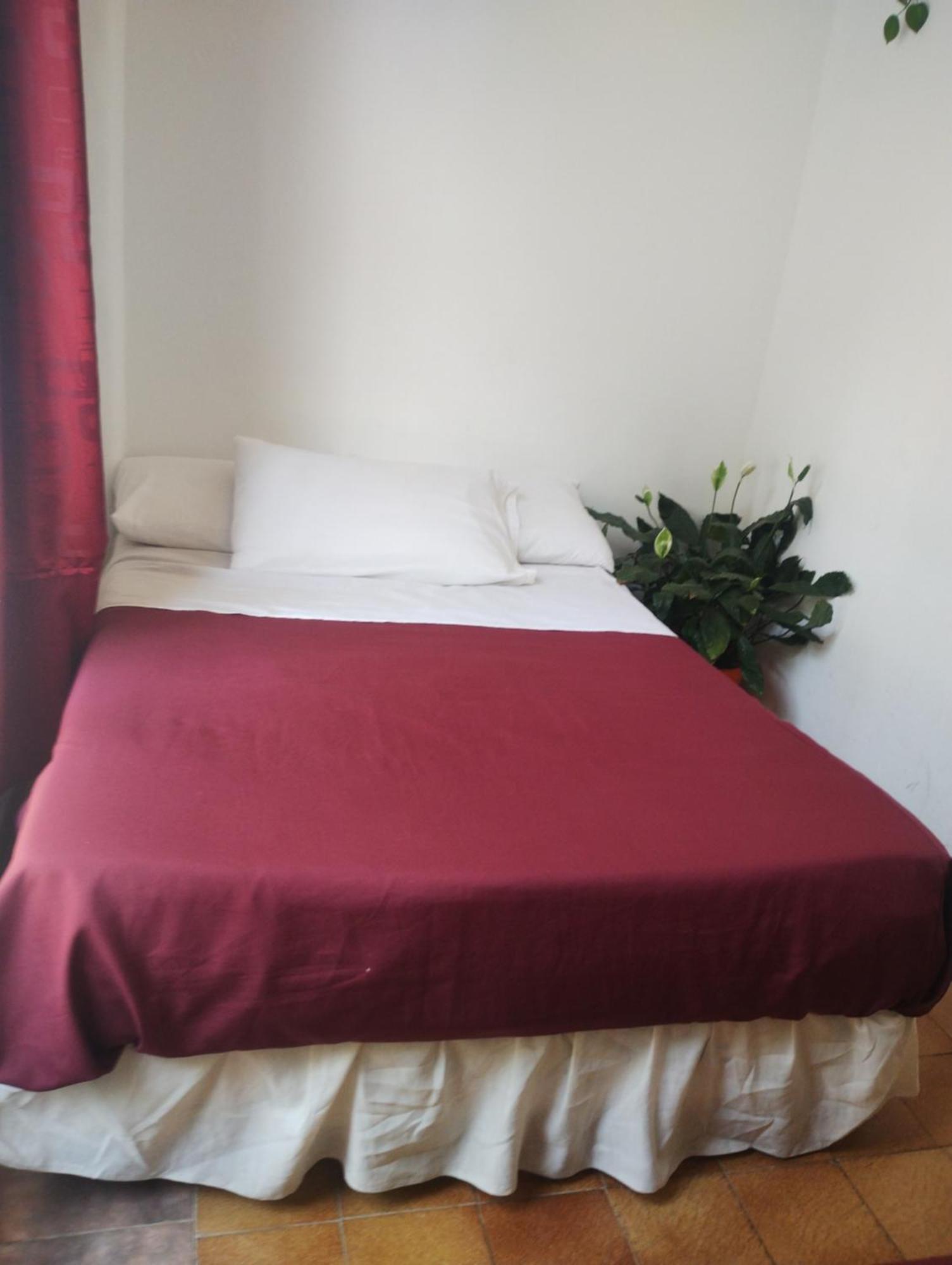 Hotel Minerva 布宜诺斯艾利斯 外观 照片